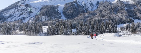 Winter im Stillachtal