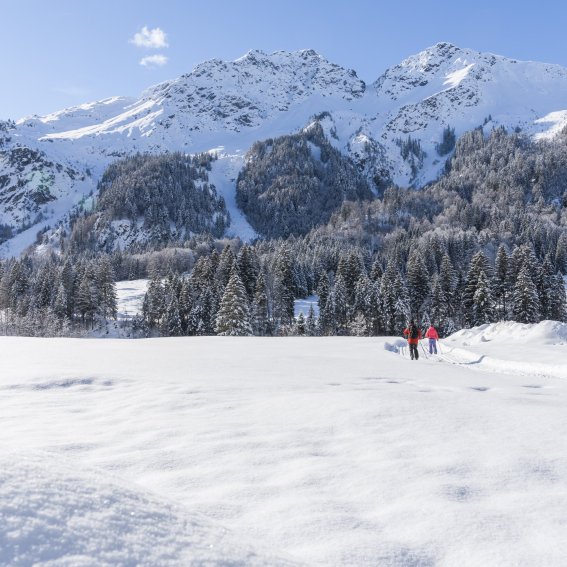 Winter im Stillachtal