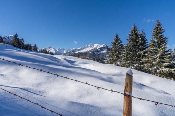 Winterstimmung