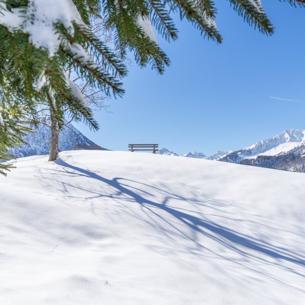 Winterstimmung am Moorweiher