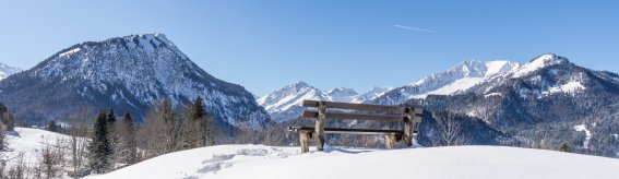 Winterstimmung am Moorweiher