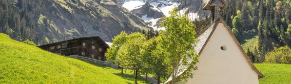 Einödsbach im Frühling