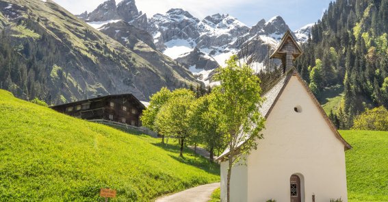 Einödsbach im Frühling