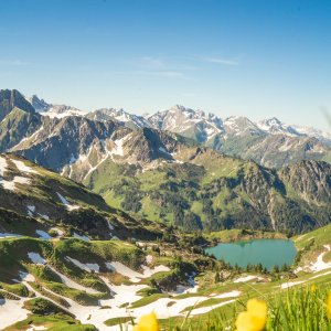 Nebelhorn Sommer