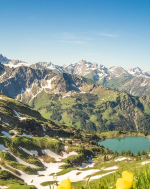 Nebelhorn Sommer