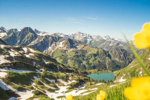 Nebelhorn Sommer
