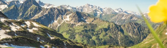 Nebelhorn Sommer