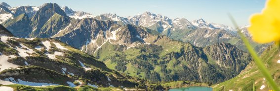 Nebelhorn Sommer