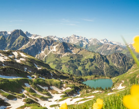 Nebelhorn Sommer