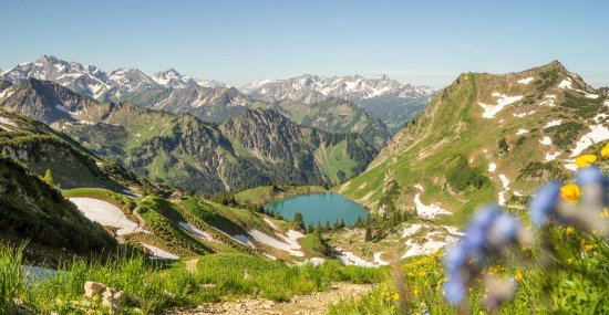 Nebelhorn Sommer