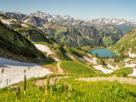 Nebelhorn Sommer 