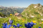 Nebelhorn Sommer