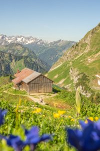 Nebelhorn Sommer 