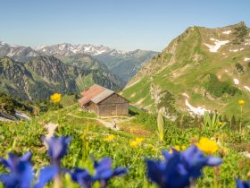 Nebelhorn Sommer 