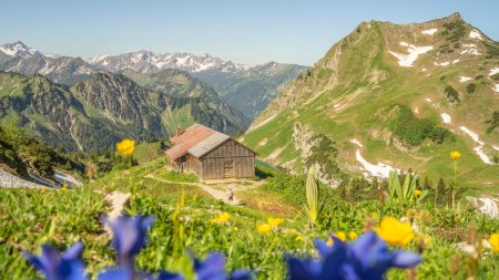 Nebelhorn Sommer 