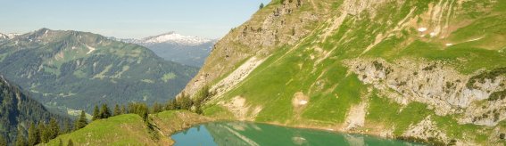 Nebelhorn Sommer 