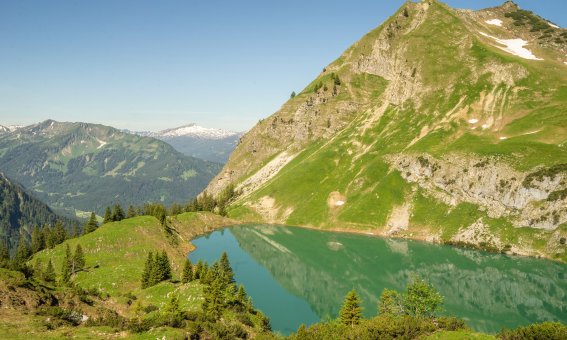 Nebelhorn Sommer 