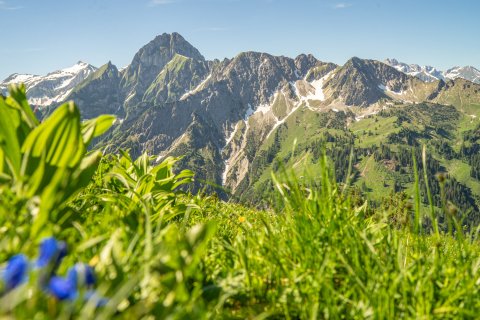 Nebelhorn Sommer 