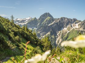 Nebelhorn Sommer