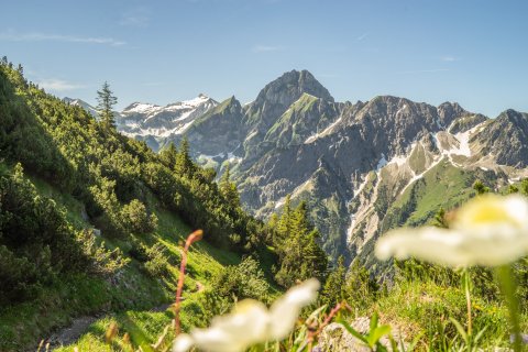 Nebelhorn Sommer