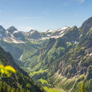 Nebelhorn Sommer 