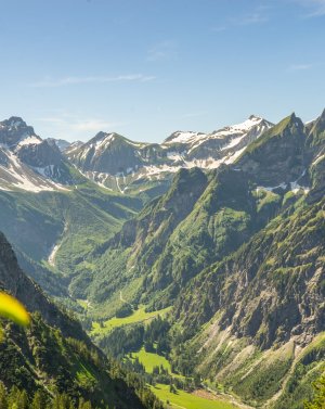 Nebelhorn Sommer 