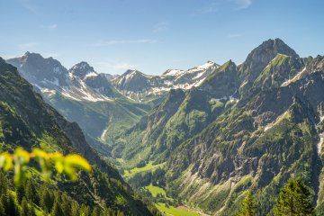 Nebelhorn Sommer 