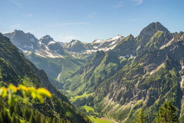 Nebelhorn Sommer 