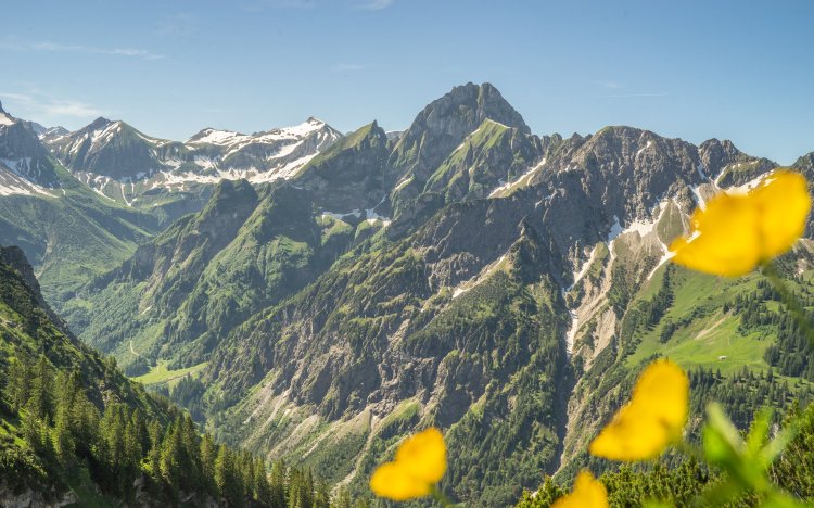 Nebelhorn Sommer
