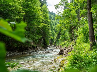 Breitachklamm