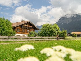 Sommer auf den Oberstdorfer Wiesen