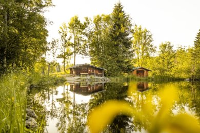 Sommerabend am Moorweiher