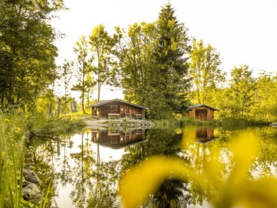 Sommerabend am Moorweiher