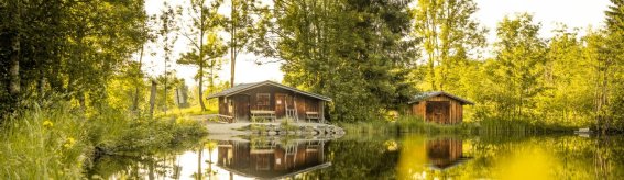Sommerabend am Moorweiher