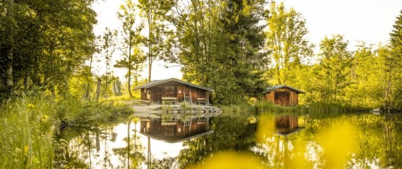 Sommerabend am Moorweiher