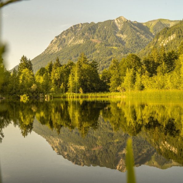 Sommerabend am Moorweiher