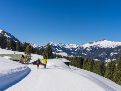 Panoramaweg Kleinwalsertal