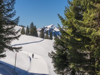 Panoramaweg Kleinwalsertal