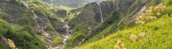  Traufbachtal im Sommer