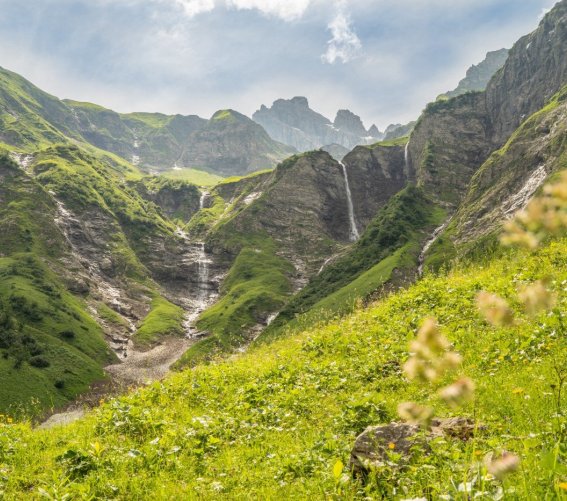 Traufbachtal im Sommer