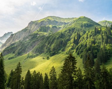 Traufbachtal im Sommer