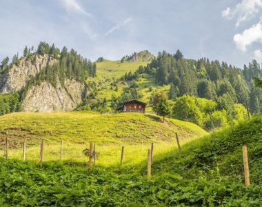 Traufbachtal im Sommer