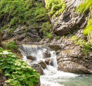 Traufbachtal im Sommer