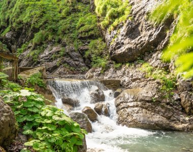 Traufbachtal im Sommer