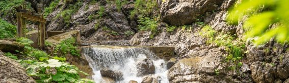 Traufbachtal im Sommer