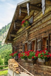 Traufbachtal im Sommer