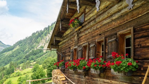 Traufbachtal im Sommer