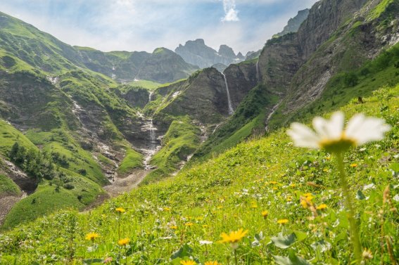 Traufbachtal im Sommer