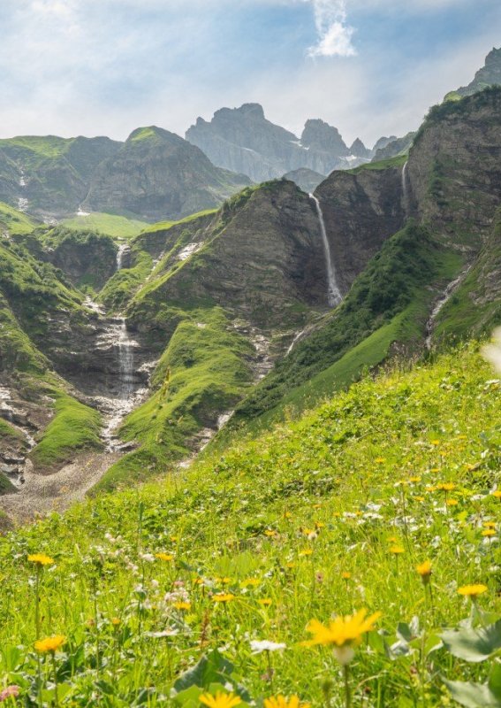 Traufbachtal im Sommer