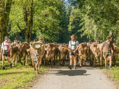 Oberstdorfer Viehscheid 13.09-019